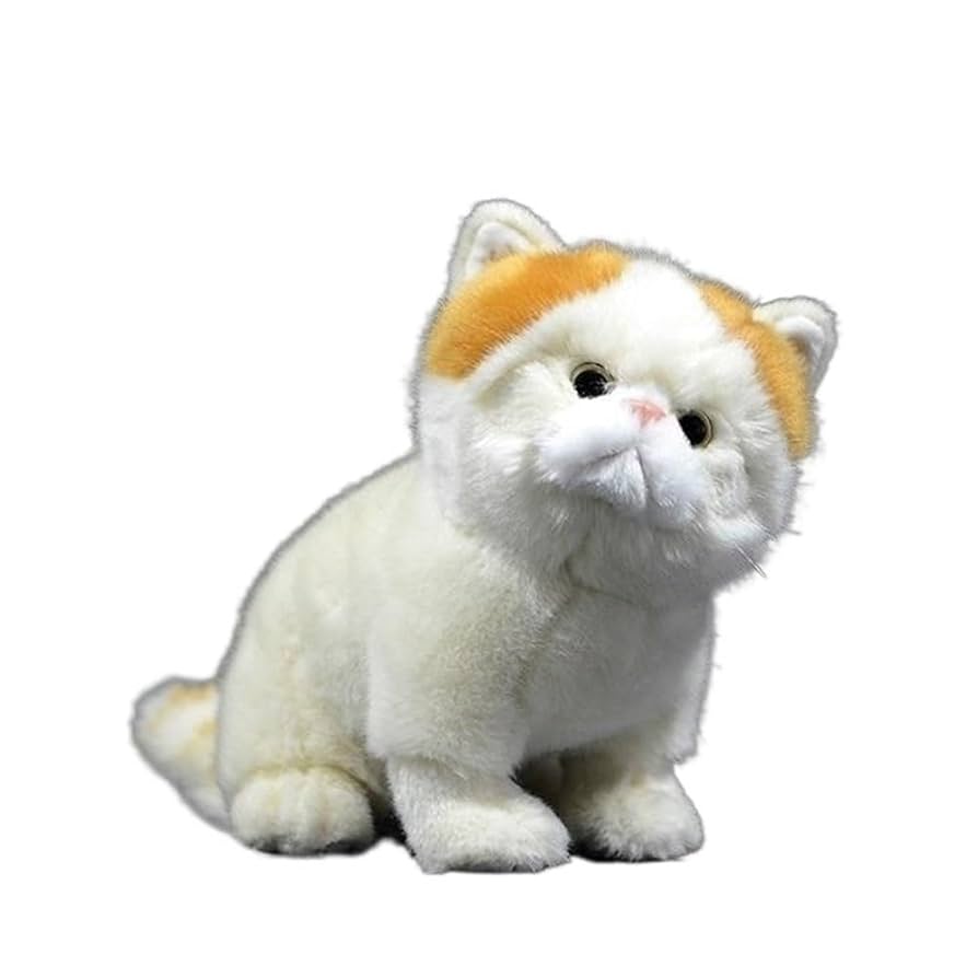 Amazon.co.jp: シミュレーションエキゾチックショートヘア猫